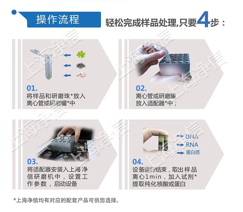 超高通量組織研磨儀